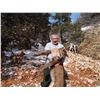 Image 1 : Utah Mountain Lion Hunt for 2 Hunters with Pine Valley Outfitters