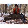 Image 4 : Missouri Archery Whitetail & Turkey Hunt for 2