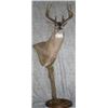 Image 1 : Pedestal Mount with Habitat for a Mule or Whitetail Deer from Natures Own Wildlife Studios