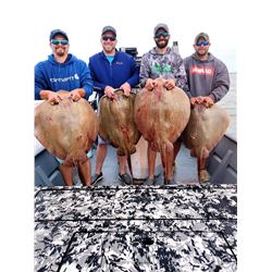 4-Hour Night Trip for Stingray Bowfishing for 4