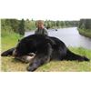 Image 1 : 7-Day New Brunswick Black Bear Hunt