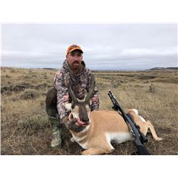 Pronghorn Antelope Hunt for 1 in Wyoming