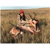Image 4 : Pronghorn Antelope Hunt for 1 in Wyoming