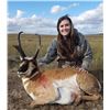 Image 5 : Pronghorn Antelope Hunt for 1 in Wyoming
