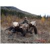 Image 2 : 9-Day Yukon hunt for Moose and Grizzly