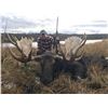 Image 3 : 9-Day Yukon hunt for Moose and Grizzly