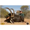 Image 5 : 10-day South African Sable and Nyala Hunt for Two Hunters and Two Observers