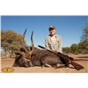 Image 7 : 10-day South African Sable and Nyala Hunt for Two Hunters and Two Observers