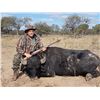 Image 1 : 5 Day Argentina Water Buffalo hunt for 1 hunter