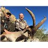 Image 1 : Management Ibex hunt in Beceite Mountains of Spain