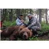 Image 1 : Alaska Brown Bear Hunt for 1 Hunter