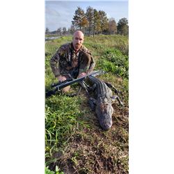 8’ Alligator Hunt in Florida