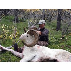 Hunters choice of Alaska Dall Sheep or Alaskan Yukon Moose Hunt