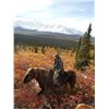 Image 5 : Hunters choice of Alaska Dall Sheep or Alaskan Yukon Moose Hunt