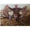 Image 6 : Hunters choice of Alaska Dall Sheep or Alaskan Yukon Moose Hunt