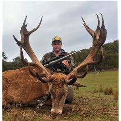 Australia - Red Stag for 1 Hunter and 1 Non-Hunter