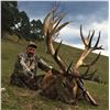 Image 4 : Australia - Red Stag for 1 Hunter and 1 Non-Hunter