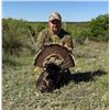 Image 4 : 2-Day Youth Turkey Hunt in Texas with Trash Rack Ranch