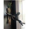 Image 2 : Duck Mount from Misty Mountain Taxidermy