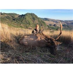 Oregon 6 Day Roosevelt Elk Hunt for 2