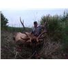 Image 2 : Oregon 6 Day Roosevelt Elk Hunt for 2