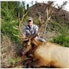 Image 4 : Oregon 6 Day Roosevelt Elk Hunt for 2