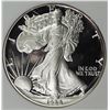Image 1 : 1988 AMERICAN SILVER EAGLE