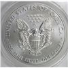 Image 2 : 2012-W AMERICAN SILVER EAGLE