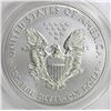 Image 2 : 2013-W AMERICAN SILVER EAGLE