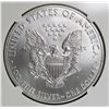 Image 2 : 2015 AMERICAN SILVER EAGLE