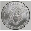 Image 2 : 2019 AMERICAN SILVER EAGLE