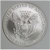 Image 2 : 2007-W AMERICAN SILVER EAGLE