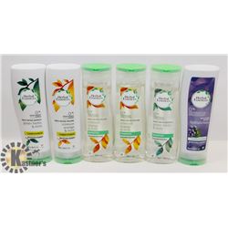 BAG OF ASSORTED HERBAL ESSENCE SHAMPOO &