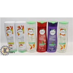 BAG OF ASSORTED HERBAL ESSENCE SHAMPOO &