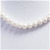 Image 1 : SILVER FRESHWATER PEARL NECKLACE