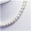 Image 2 : SILVER FRESHWATER PEARL NECKLACE