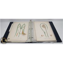 ALBUM CONTAINING 49 ORIGINAL LITHOGRAPHED PLATES,