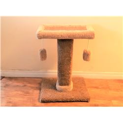 1)  CAT CLIMBING PERCH