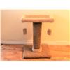Image 1 : 1)  CAT CLIMBING PERCH