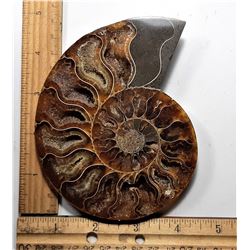 24)  LARGE AMMONITE FOSSIL SPECIMEN