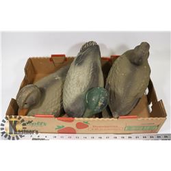 BOX W/ 3 1940'S CARRY LITE DUCK DECOYS