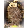 Image 1 : ORNAMENTAL OWL WITH REAL FEATHERS 13"TALL
