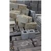 Image 2 : APPROX.. 14 PALLETS OF ASSORTED BRICKS AND BLOCKS
