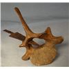 Image 2 : Iron arrow head inbedded in buffalo vertebrae, RARE.