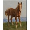 Image 1 : Peters, Les, oil on board, The Colt, 7” x 5”
