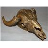 Image 1 : Contway, Jay bronze sculpture, Buffalo Skull, 1981, 1/20, 7" x 8"