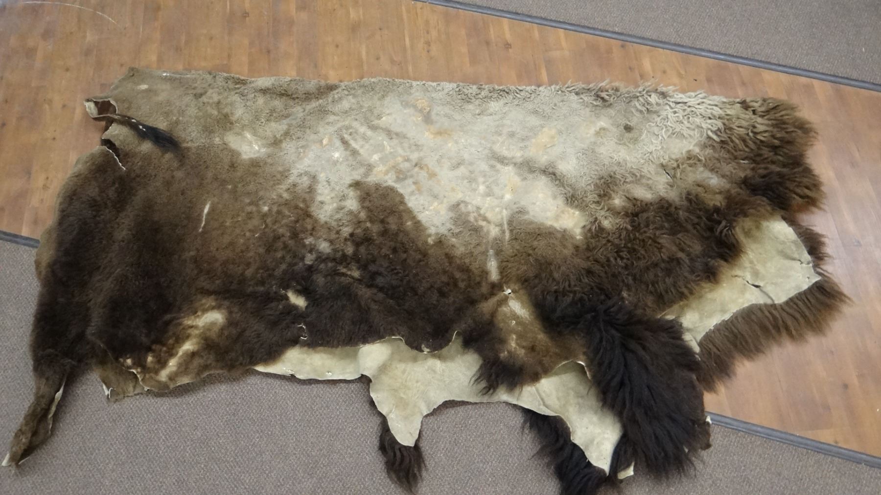 Buffalo rug