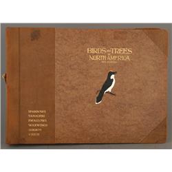 REX BRASHER BIRDS AND TREES OF NORTH