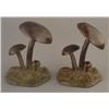 Image 1 : PAIR OF BRONZE MUSHROOM BOOKENDS, signed Emilio