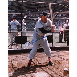 Ted Williams Signed Red Sox 16x20 Photo (PSA LOA  Williams Hologram)